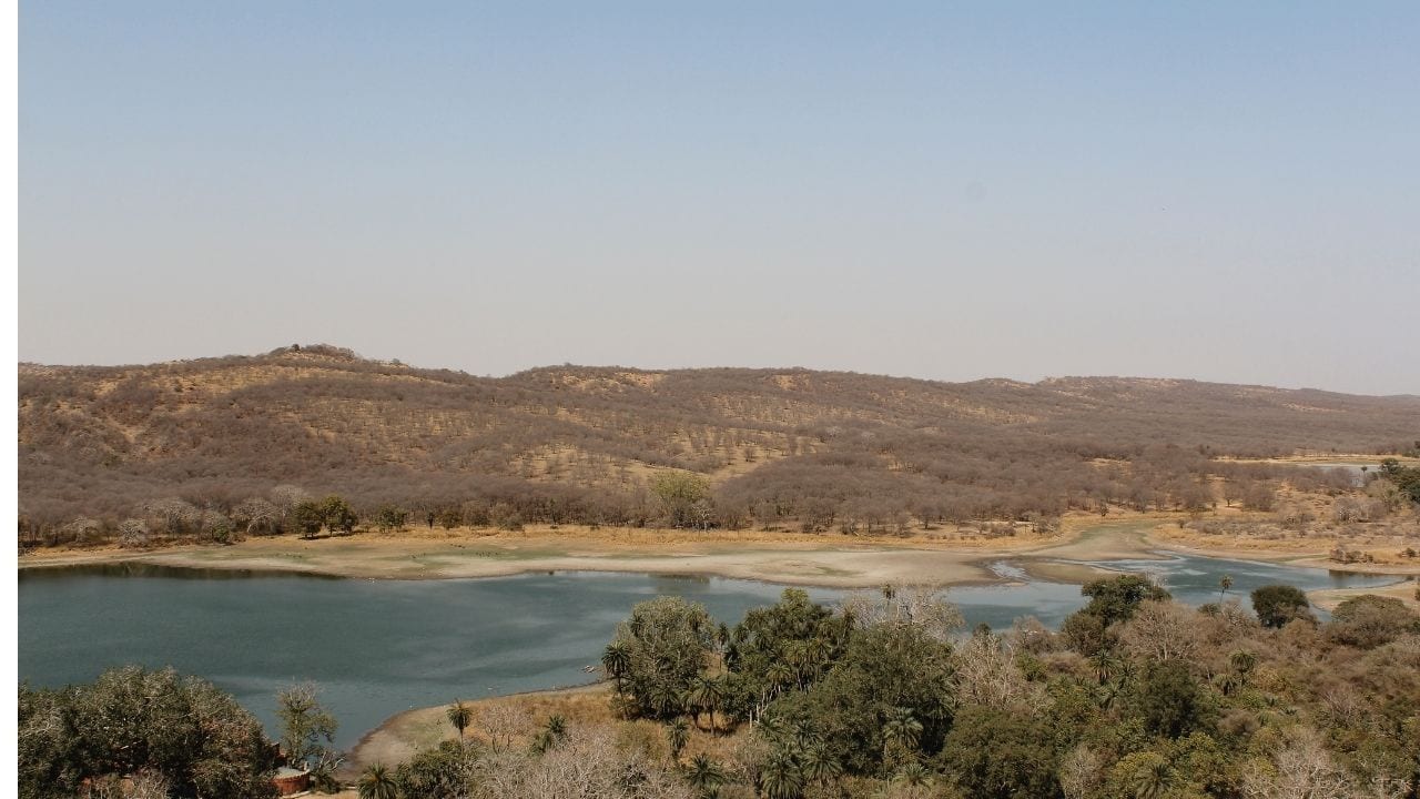 Sawai Madhopur in India