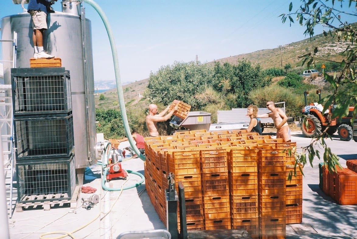 Making wine in Kefalonia