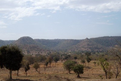 The dry Ethiopian bush in the north of the country
