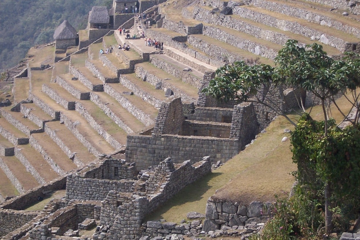 Lines of terraces at Machu Pichhu
