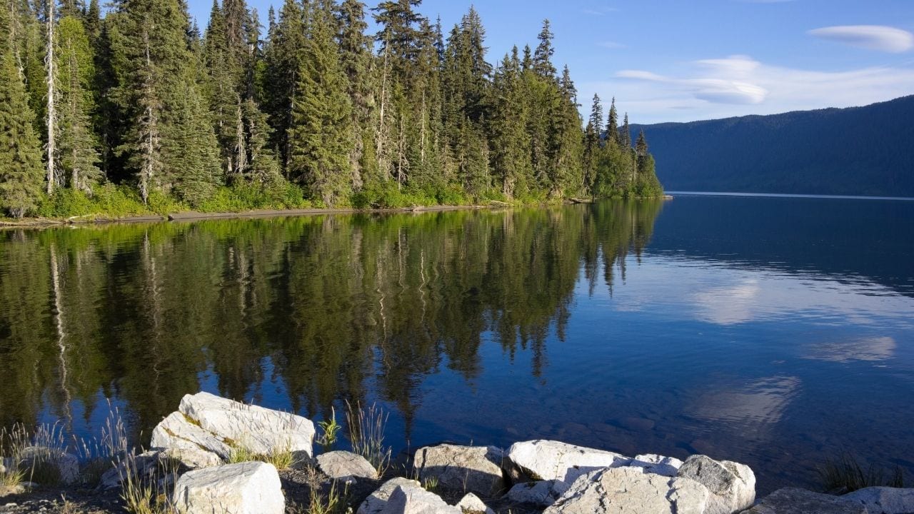 Meziadin Lake in Canada