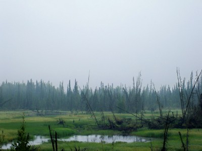 An almost prehistoric landscape as seen cycling from Alaska to Argentina
