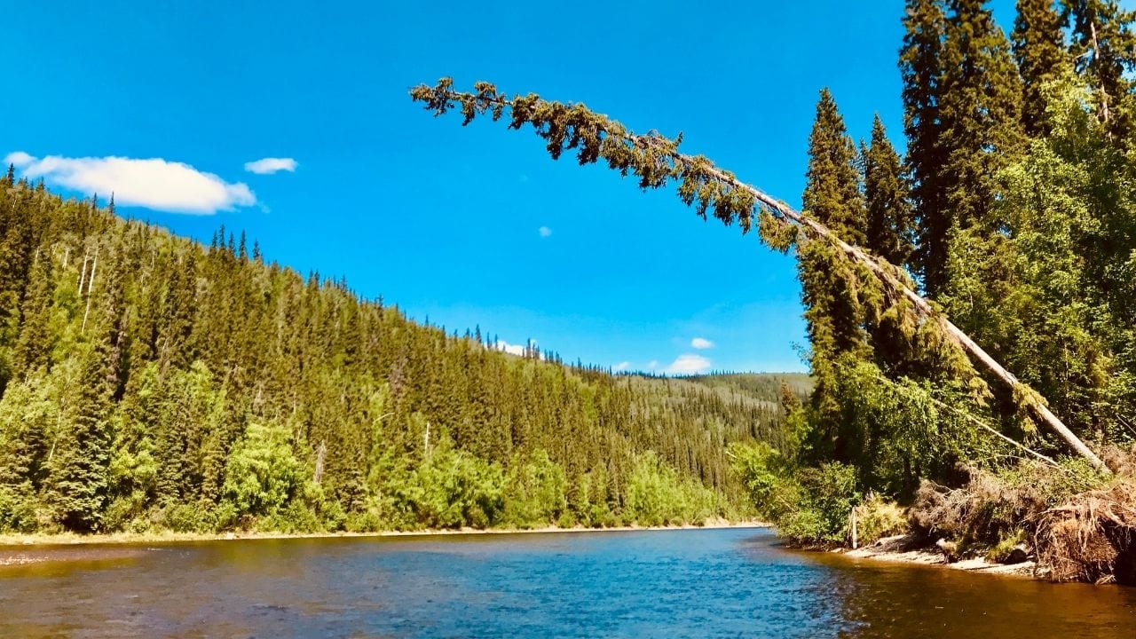 Cycling near the Salcha River in Alaska