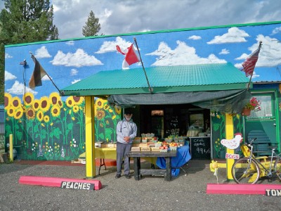 Cycling from Williams Lake to Lak la Hache in Canada