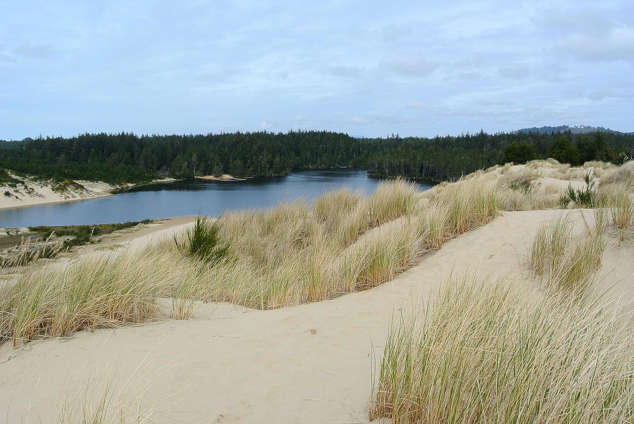 The Dunes at Honeyman Memorial State Park