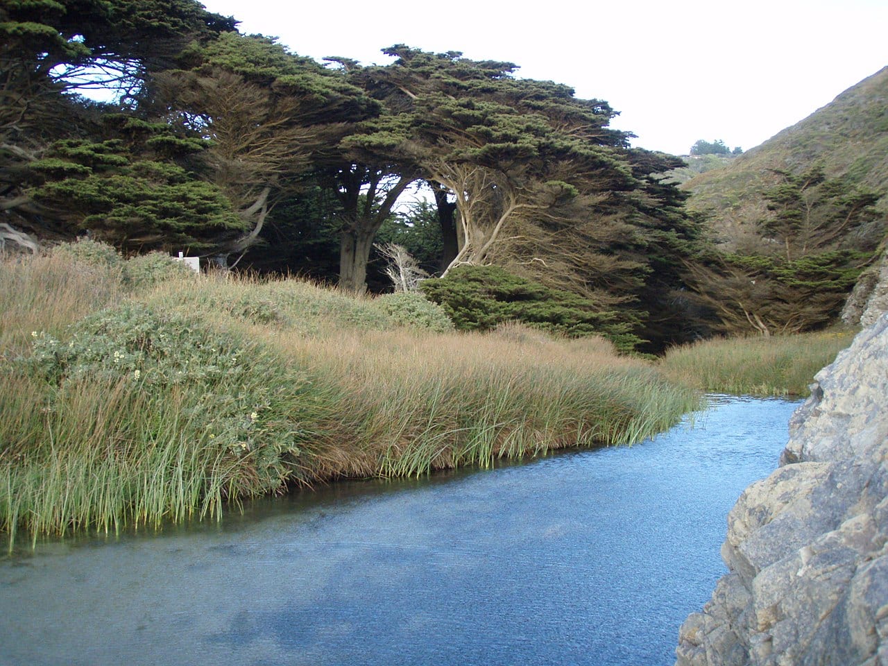 Pfeiffer Big Sur