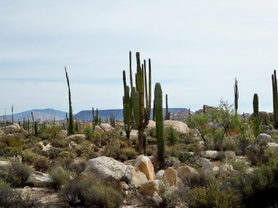 Cycling from San Agustin to Catavina in Baja California - Bike Touring