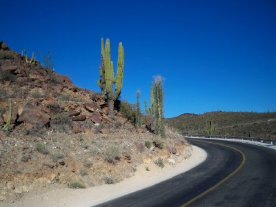 Cycling from El Rosario to San Agustin in Baja California in Mexico