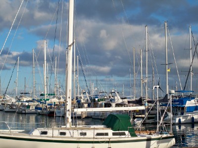 The marina in La Paz, Baja California, Mexico