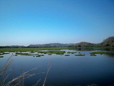 Cycling from Marquelia to Cuajinicuilapa around a lily lake