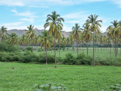 Cycling from Punta Perula to Barra de Navidad in Mexico - Bicycle Touring