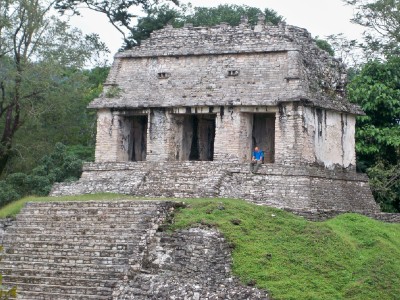 oliver-at-palenque