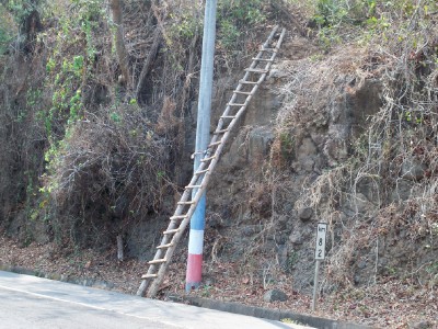 A somewhat twisted ladder