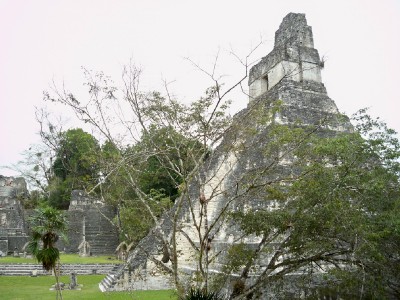 tikal2