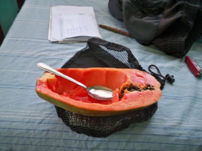 papaya was one of my favourite foods in Costa Rica