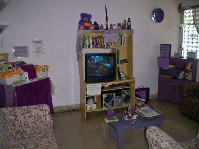 Purple House in David Panama