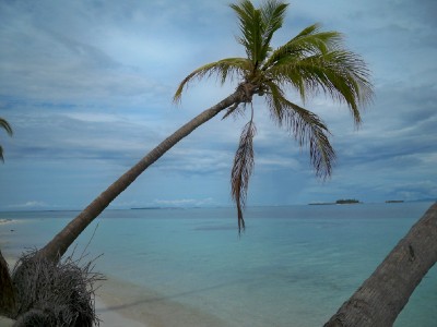 San Blas Islands - A perfect desert island setting!