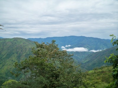 The view from Valdivia in Colombia