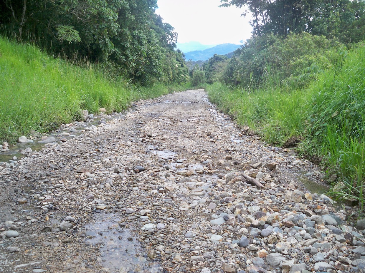 This road resembled a river bed more than a road