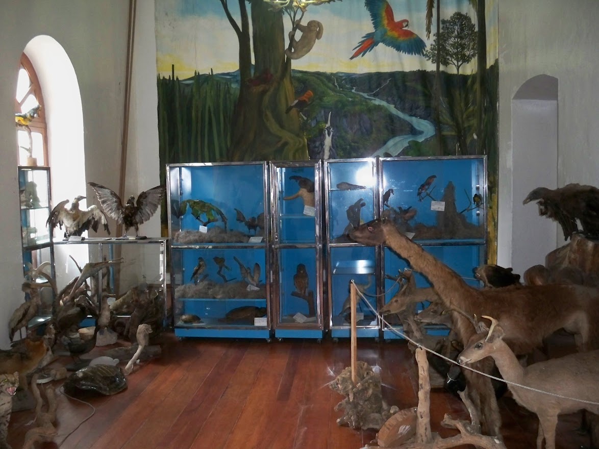 Stuffed animals in Banos Ecuador