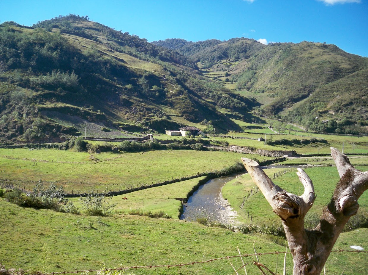A dairy farm in Peru