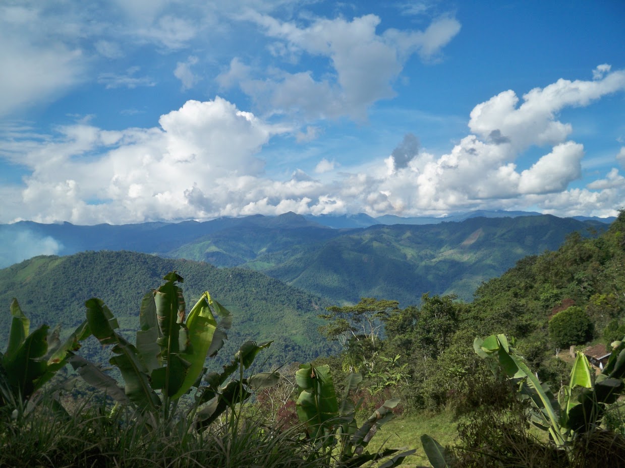 Cycling back at cloud level in Ecudaor
