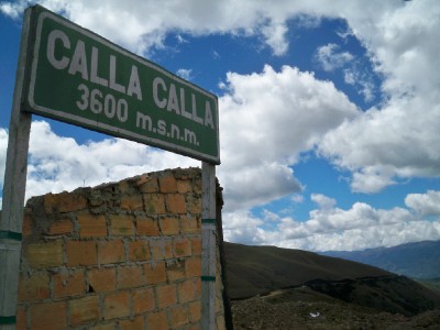 Calla Calla