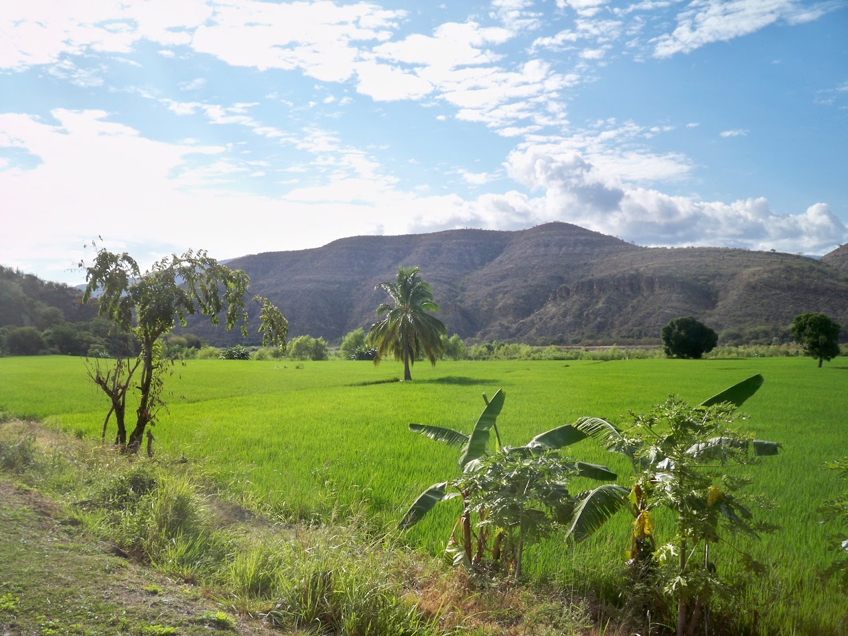 Cycling by green fields in Peru