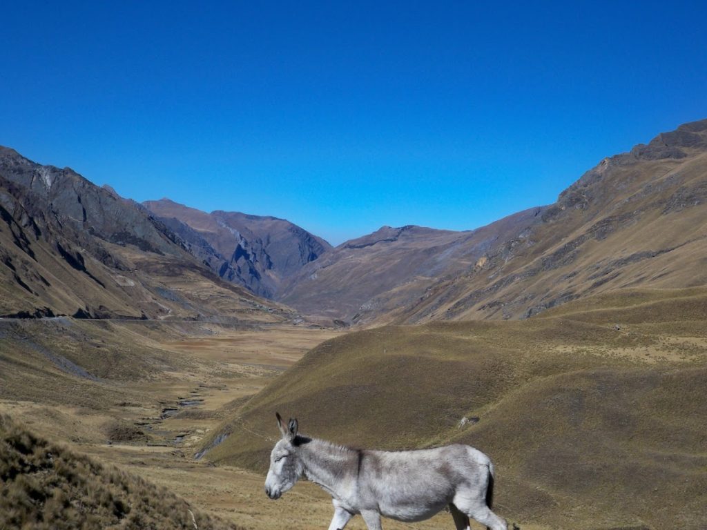Cycling from Pachapaqui in Peru