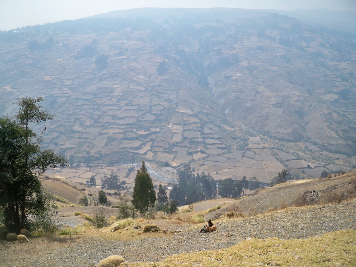 The town of Pachas in Peru