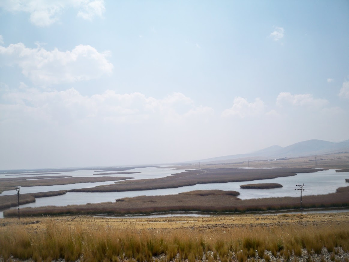There were a lot of seagulls by this high lake in Peru