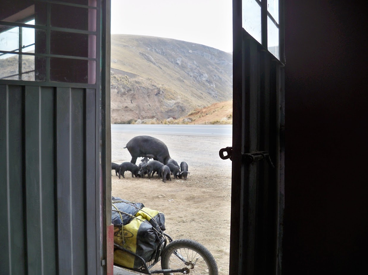 A stop with my bicycle