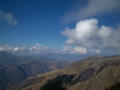 Kishuara in Peru