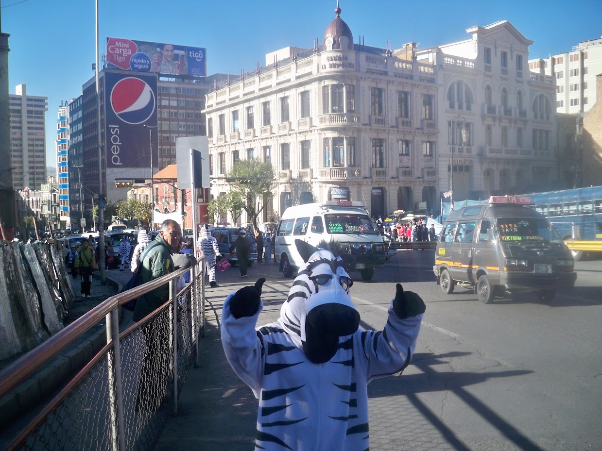 A man dressed as a dancing zebra in La Paz Bolivia
