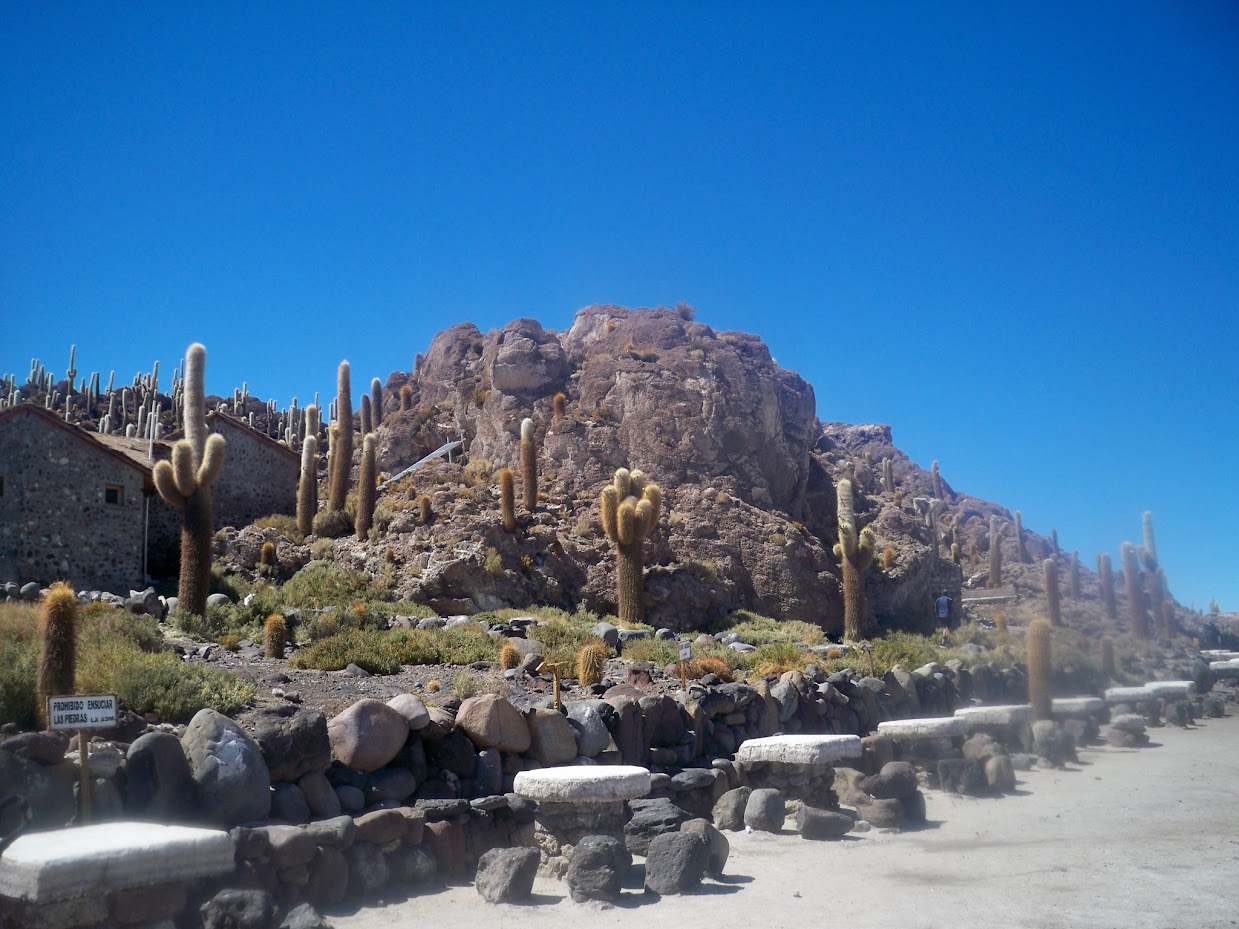 Incahuasi in Bolivia - An island in the salt pan