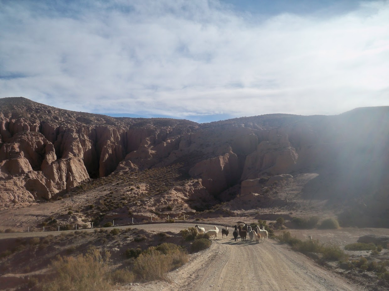 Traffic jam in Bolivia