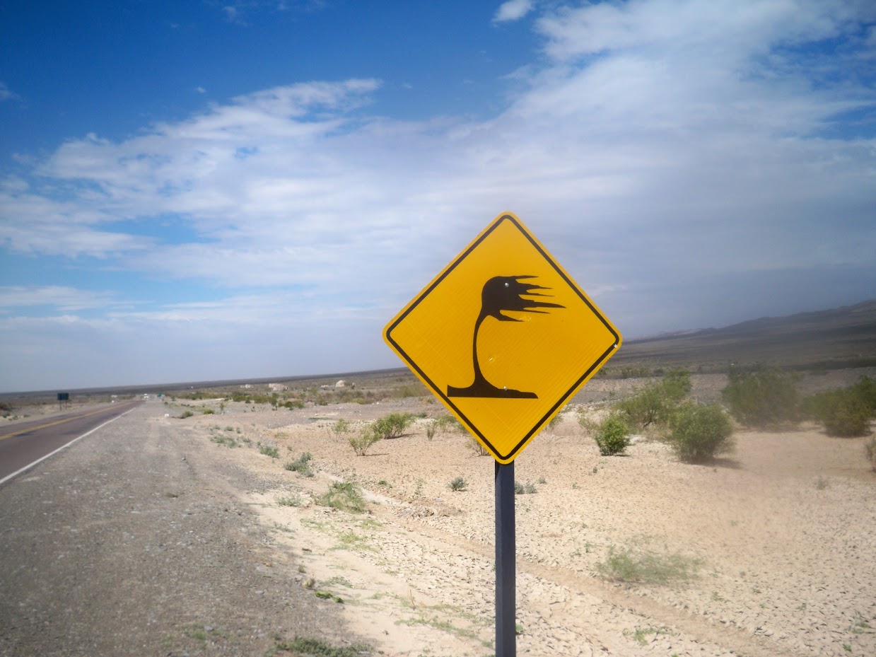 First signpost I'd ever seen indicating strong winds