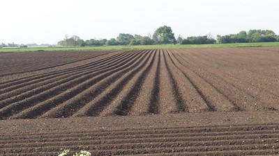 ploughed field