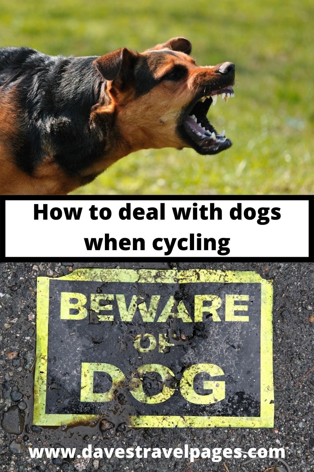 How to deal with aggressive dogs on a bicycle tour - Aggressive dogs can be a stressful and somewhat unnerving experience at first. The sight and sound of an aggressive dog running up to your bike, barking and snarling makes you realise just how exposed you are on a bike tour. Here is how to deal with aggressive dogs.