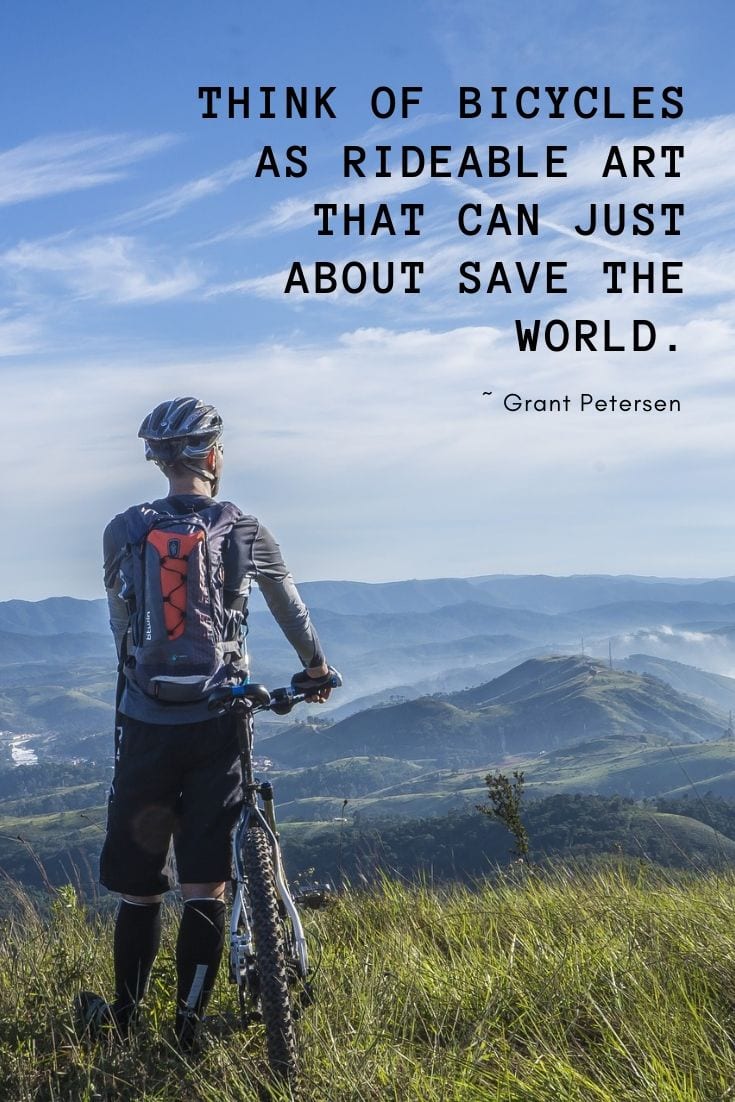 Think of bicycles as rideable art that can just about save the world.