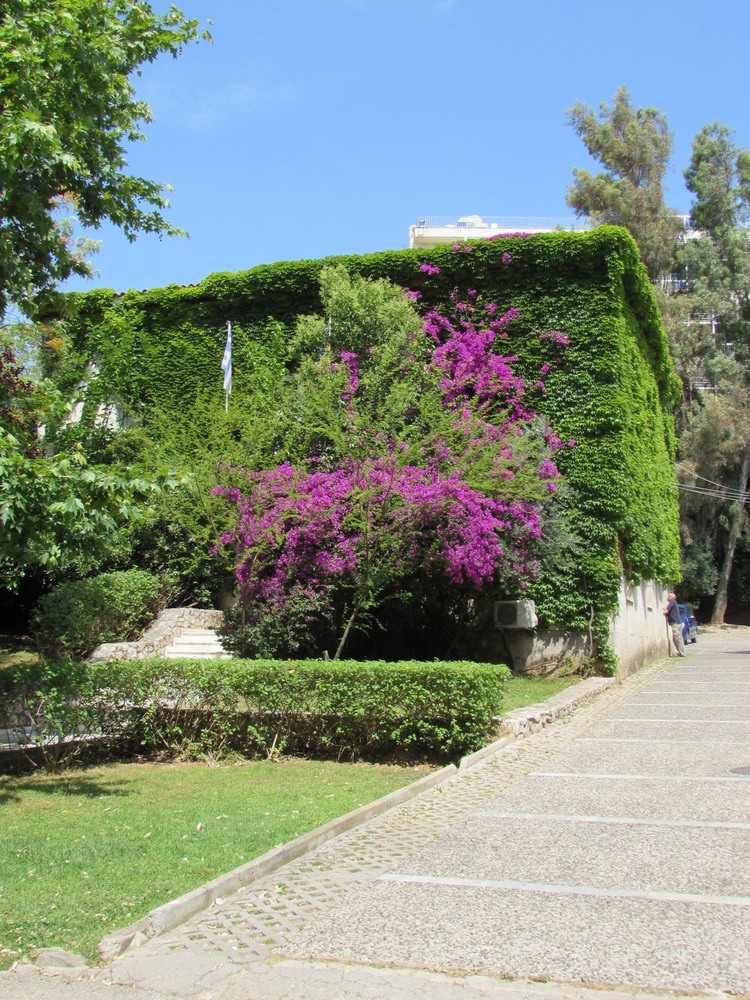 Eleftherios-Venizelos-historical-Museum