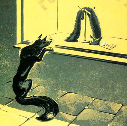 The Fox