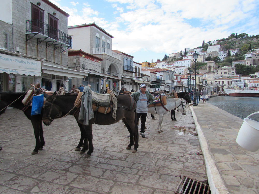 Donkeys on the Greek island of Hydra