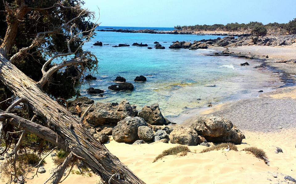 Kedrodasos Beach in Crete. This is one of the best beaches I have ever been too.
