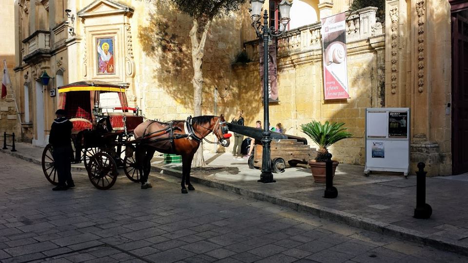 Mdina in Malta