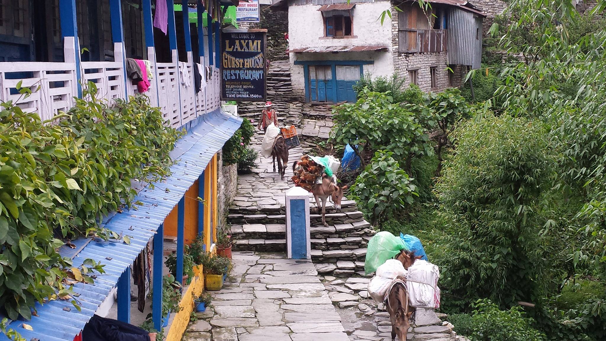 A teahouse at Tikhedhunga in Nepal