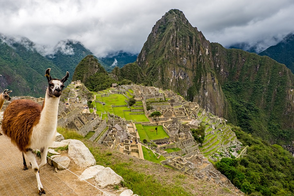 A Llama at Machu Picchu - They are always ready for a photo opportunity!
