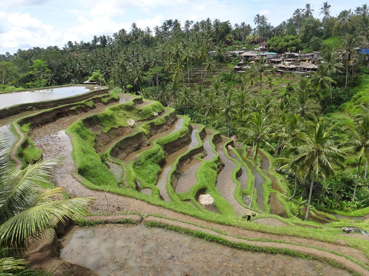 Visit the Bali rice terraces for some spectacular photos!