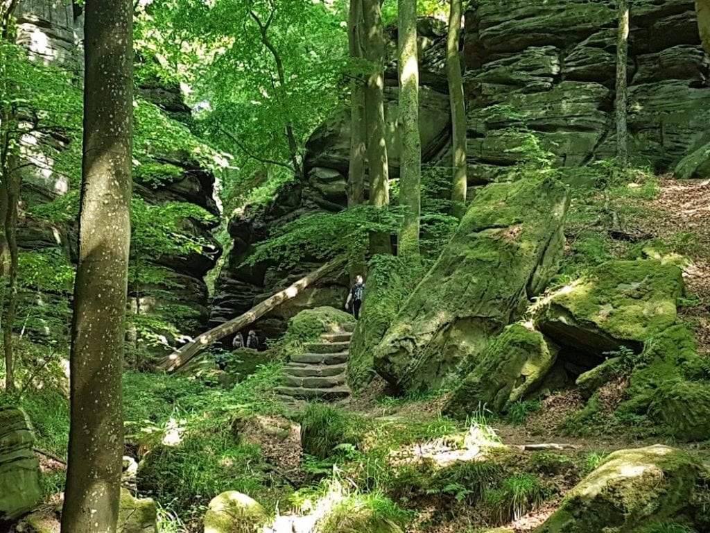 A lush, green grotto hidden away in the middle of the Mullerthal region of Luxembourg