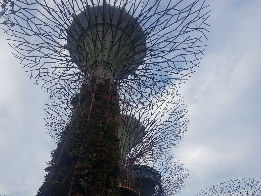 The unlit supertrees in the Bay Gardens in Singapore look almost sinister, especially on a cloudy day!
